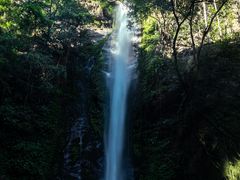 -莫里热带雨林景区