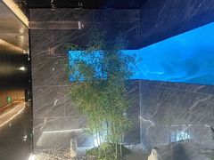 -华夏良子·足道SPA艾灸(金皇大厦店)
