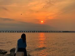 -宝安西湾红树林湿地公园