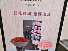 -ROSEONLY诺誓(广州K11店)