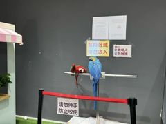 -FAIRYLAND龙族星球主题餐厅(凯丹广场店)