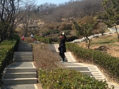 -浮山香苑