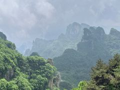-王莽岭风景区