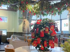 -仙踪林(惠润广场店)