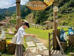-龙岩森林水乡景区