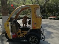 -杭州黄龙洞