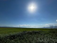 -野鸭湖国家湿地公园