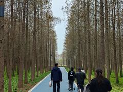 -昆山城市生态森林公园