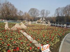 -祥源·阜阳生态乐园