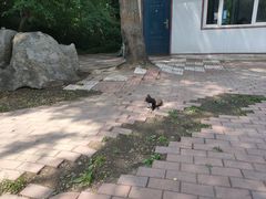 -黑龙江省森林植物园