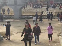 -千年银杏谷文化旅游区