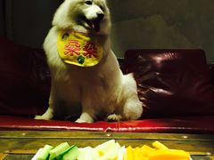 -百好乐宠物友好餐厅(朝外大街店)