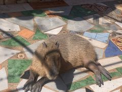 -昆明动物园