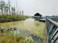 -白鹭湾湿地公园