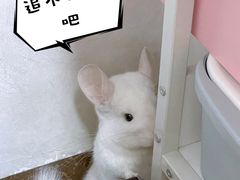 -龙猫仔乐园(惠福东路店)