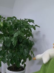-颜续美容美体
