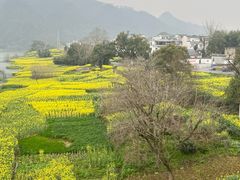 -新安江山水画廊风景区