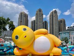 -海合安成都极地海洋公园