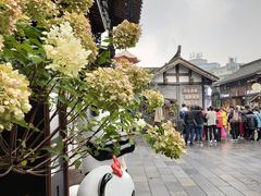 -星巴克臻选(成都宽窄巷子店)