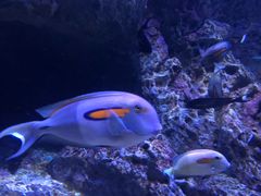 -成都浩海立方海洋公园