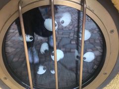 -三鹰之森吉卜力美术馆