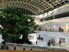 -万达影城(丽彩广场店)