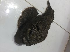 -海盗餐厅