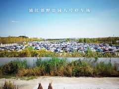 -上海浦江郊野公园-4号停车场
