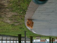 -天井湖游乐园