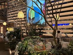 -桂满陇·海市蜃楼·黑金(国金店)