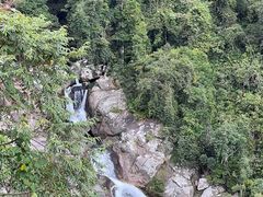-海南热带雨林国家公园吊罗山景区