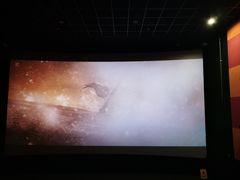 -金逸影城(武汉人信汇IMAX店)