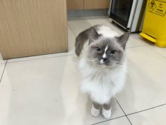 -美迦爱-牙专科·兔科·骨科诊疗中心(北苑店)