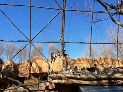 -北京野生动物园