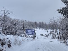 -齐岳山