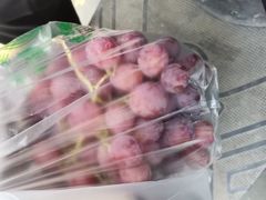 -家辉生鲜超市(东五路店)