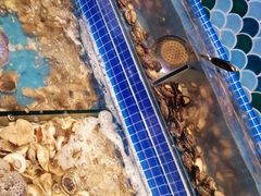 水产区-乔哥铭洋海鲜自助(皇城恒隆广场店)