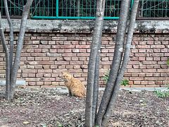 -北京西山国家森林公园