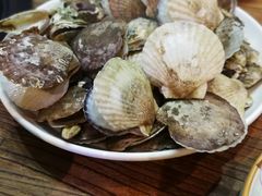扇贝-海味当家·蒸锅海鲜(星海公园店)