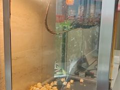 -万和源炝锅城·活鱼现炝(文艺北路店)