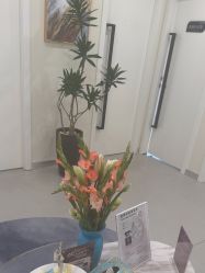 -海涛医疗美容·面部抗衰·注射美鼻