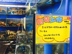 -蚝专家(北滘店)