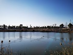 -春花秋色城市公园