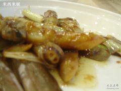 蛏子-海岛渔村大酒店(云霄路店)