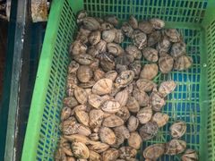 -和源祥·日照菜扛把子(万平口一店)