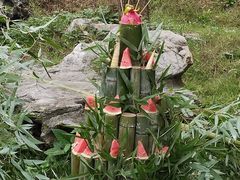 -杭州野生动物世界