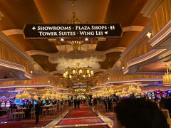 -拉斯维加斯永利酒店