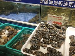 水产区-丰卓会海鲜自助(中润大道店)