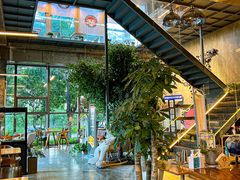 -了不起的考拉咖啡店(高新店)