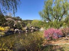 -北京西山国家森林公园